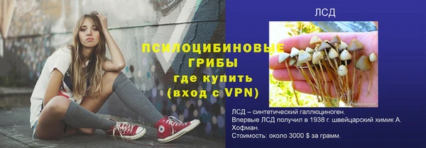 эйфоретик Балахна