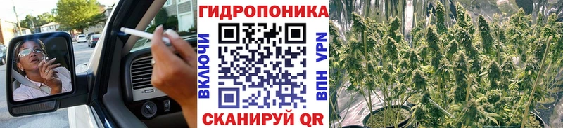 Шишки марихуана VHQ  закладка  Бор 